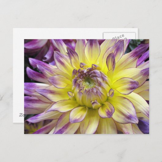 Carte postale (Devant / Derrière)