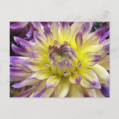 Carte postale (Devant)