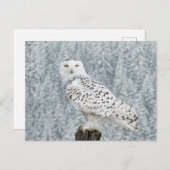 Carte postale (Devant / Derrière)