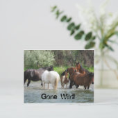 carte postale (Debout devant)