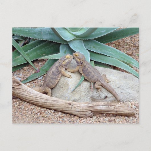 Carte postale (Devant)