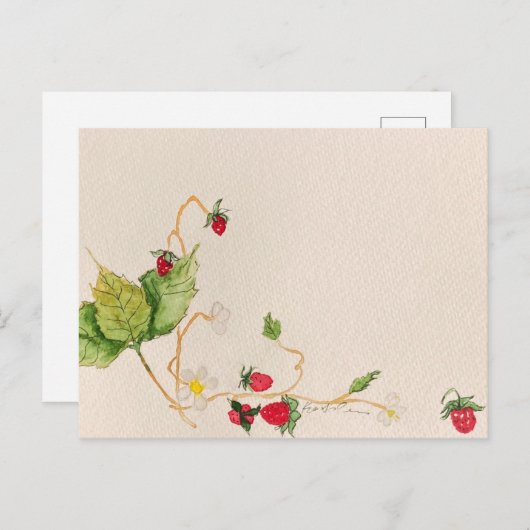 carte postale (Devant / Derrière)