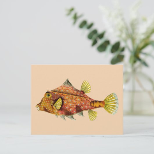 carte postale (Debout devant)