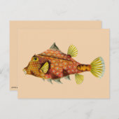 carte postale (Devant / Derrière)