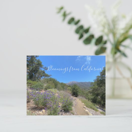 Carte postale (Debout devant)