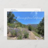 Carte postale (Devant / Derrière)