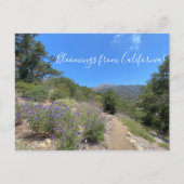 Carte postale (Devant)