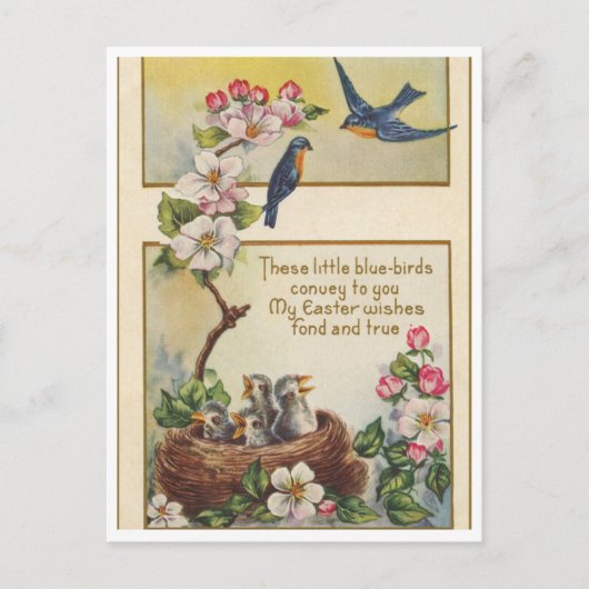 Carte postale (Devant)