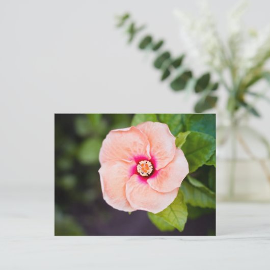 Carte postale (Debout devant)