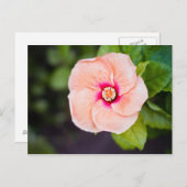 Carte postale (Devant / Derrière)