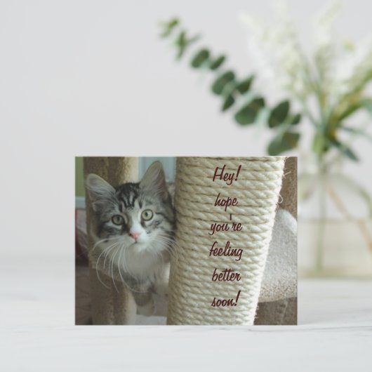 Carte postale (Debout devant)