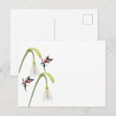 Carte postale (Devant / Derrière)