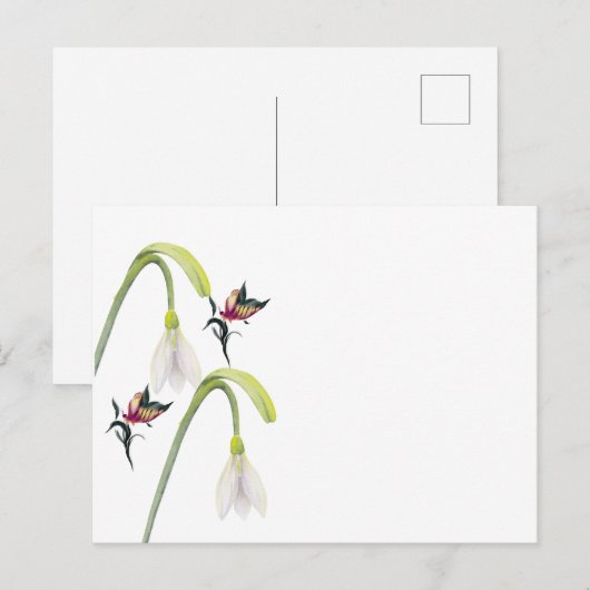 Carte postale (Devant / Derrière)