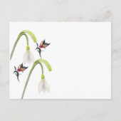 Carte postale (Devant)