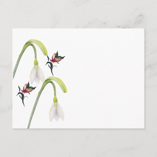 Carte postale (Devant)