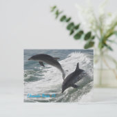 Carte postale (Debout devant)