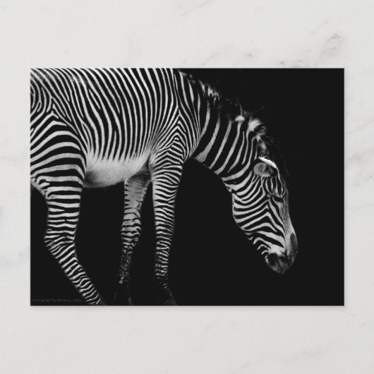 Carte postale (Devant)