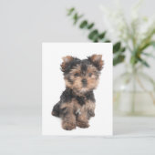 Carte postale (Debout devant)