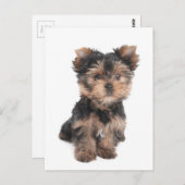 Carte postale (Devant / Derrière)