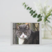 Carte postale (Debout devant)