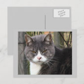 Carte postale (Devant / Derrière)