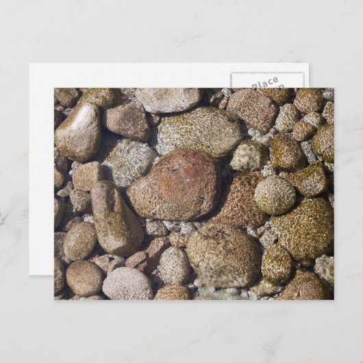 Carte postale (Devant / Derrière)