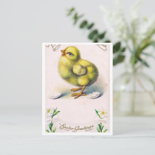 Carte postale (Debout devant)