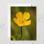 Carte postale (Devant / Derrière)