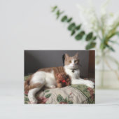 Carte postale (Debout devant)