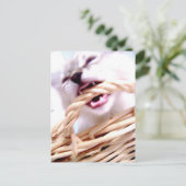 carte postale (Debout devant)