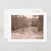 carte postale (Devant / Derrière)