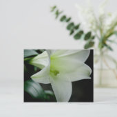 Carte postale (Debout devant)