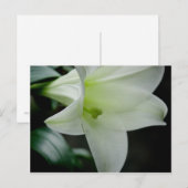 Carte postale (Devant / Derrière)