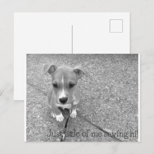 Carte postale (Devant / Derrière)