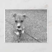 Carte postale (Devant)