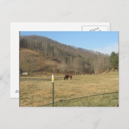 carte postale (Devant / Derrière)