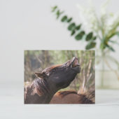 carte postale (Debout devant)