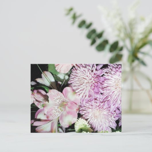 Carte postale (Debout devant)