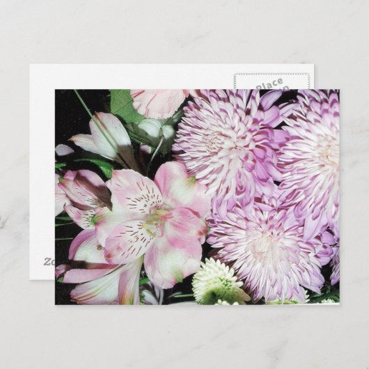 Carte postale (Devant / Derrière)