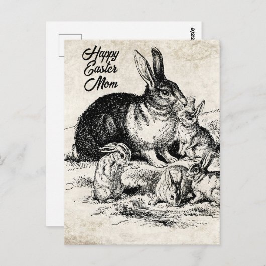 Carte postale (Devant / Derrière)