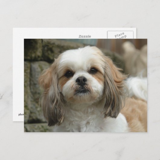 Carte postale (Devant / Derrière)