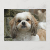 Carte postale (Devant)