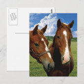 Carte postale (Devant / Derrière)