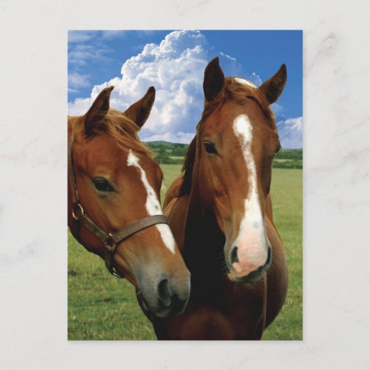 Carte postale (Devant)