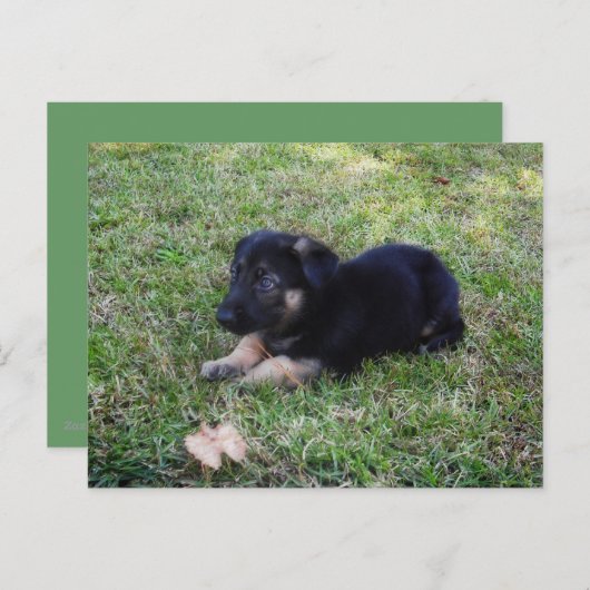 Carte postale (Devant / Derrière)