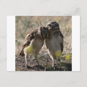 carte postale