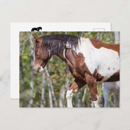 Carte postale (Devant / Derrière)