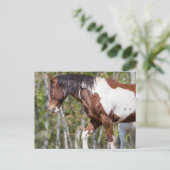 Carte postale (Debout devant)