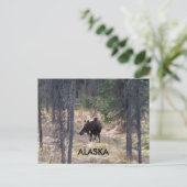 carte postale (Debout devant)