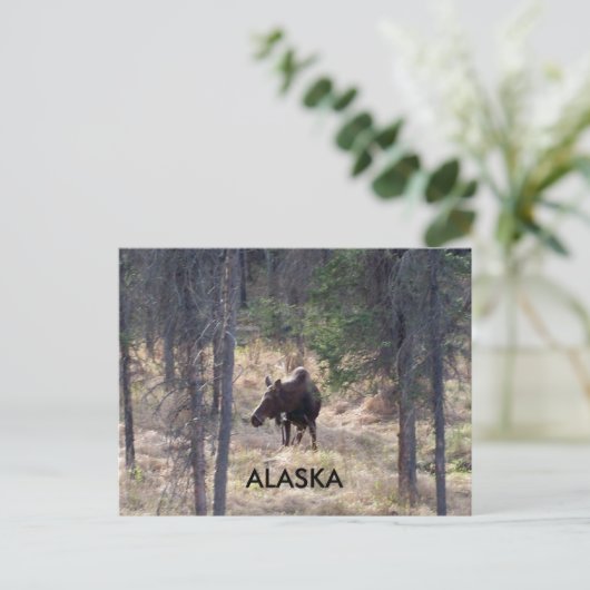 carte postale (Debout devant)